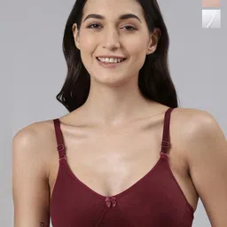 Dollar Missy Pack of 3 Cotton Wire-Free Soft Padded Bra image 1