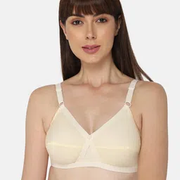 NAIDU HALL Pack Of 3 Cotton Everyday Bra Full Coverage Non Padded All Day Comfort image 2