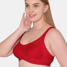 Souminie Full Coverage Non Padded Non-Wired Cotton T-shirt Bra- All Day Comfort image 3