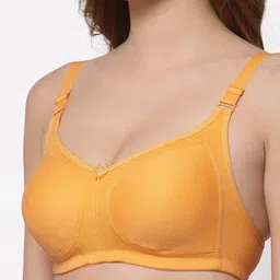 Floret Rose & Mustard Set of 2 Solid Non Padded Bra image 5
