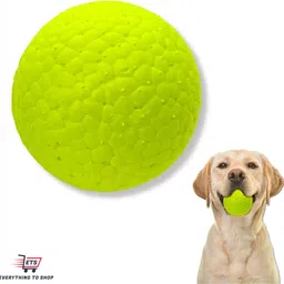 ets Rubber Ball For Dog-picture-25