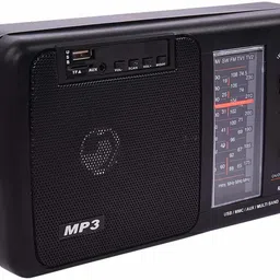 TECH-LOBBY TL-RDO-1 FM Radio-picture-13