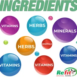 refit animal care Mastitis Treatment Medicine Supplement for Cow, Cattle & Buffalo Pet Health Supplements image 3