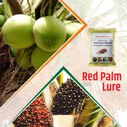 s k agrotech Rhynchophorus ferrugineus - Red Palm Weevil Pheromone Lure image 2