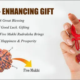 guruji gems & jewellery Original 5 Mukhi Rudraksha with Certificate Silver Beads Brass, Wood Locket image 4