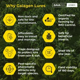 gaiagen RPW Lure- Pheromone for Red Palm Weevil (Rhynchophorus ferrugineus) image 5