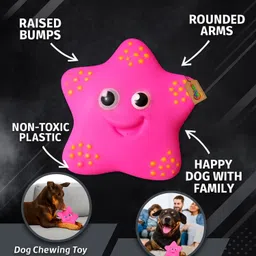 dreamauro Star Small Smiley Squeaky Toy for Dogs – Cute Soft Rubber Chew for Play & Fetch Rubber Chew Toy, Rubber Toy, Squeaky Toy, Training Aid For Dog & Cat image 2