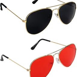 aquila Polarized Aviator Sunglasses (50)-picture-23