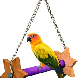 taiyo pluss discovery Bird Toys, Size: (25.5X40 cm) (LXH), Natural Wooden & Colorful Sand Perch, Swing Toys, Suitable Cockatoo, Macaw, Grey Parrot & Other Large Birds (Violet) Wooden Chew Toy, Training Aid For Bird image 4