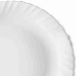 namaste kitchen Best Full Dinner Plates_New_New Dinner Plate image 5