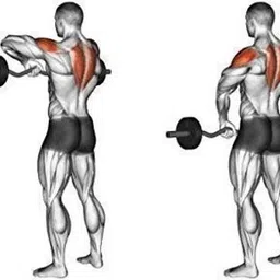 shivam sports 20 kg Gym Equipment for Men,20Kg PVC Plates Curl Rod- Straight Rod Workout for home Home Gym Combo image 2