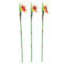 casacraft from pepperfry Orange Synthetic Fabric Bird of paradise Artificial Flower Set of 3 image 2