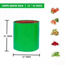 sai global Terrace gardening grow bags (12x12) inches pack of 2 Grow Bag image 2
