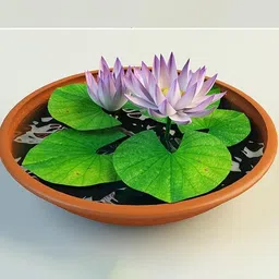 greensea Lotus, Kamal Flower Seed image 1
