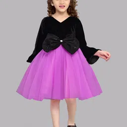 Pink Chick Girls Bell Sleeve Net Fit & Flare Dress-picture-22