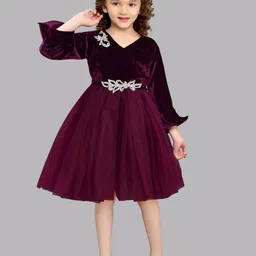 Pink Chick Girls Bell Sleeves Applique Net Fit & Flare Dress-picture-58