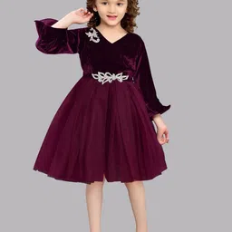 Pink Chick Girls Bell Sleeves Applique Net Fit & Flare Dress-picture-12