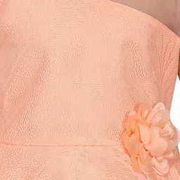 BAESD Girls Self Design Round Neck Net Fit & Flare Dress image 2