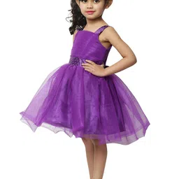 BAESD Girls Self Design Sleeveless Tie Up Net Fit & Flare Dress image 3