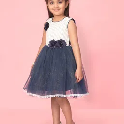 BAESD Girls Self Design Net Sleeveless Fit & Flare Dress image 3