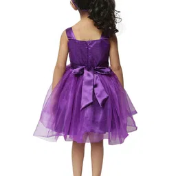 BAESD Girls Self Design Sleeveless Tie Up Net Fit & Flare Dress image 4