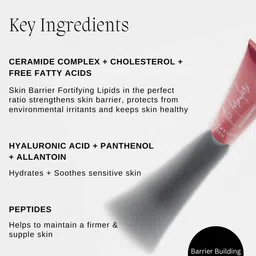 The Formularx Barrier Plus Peptide Ceramide Face Moisturizer with Hyaluronic Acid - 50 g image 2