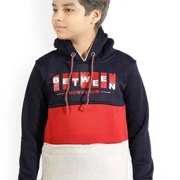 BAESD Boys Colourblocked Hooded Pullover Sweatshirt-picture-31