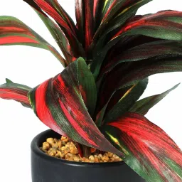 casacraft from pepperfry Pvc Alys Green Bonsai With Black Ceramic Pot Artificial Plant image 4