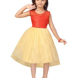 BAESD Self Design Net Sleeveless Fit & Flare Dress-picture-13