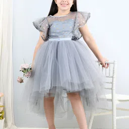 Toy Balloon kids Grey Flutter Sleeve Net Fit & Flare Dress-image-50