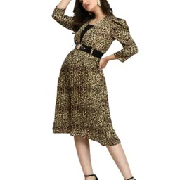 BAESD Animal Printed Georgette Fit & Flare Dress-picture-17
