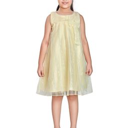 Peppermint Girls Round Neck Satin Self Design A-Line Dress-picture-19