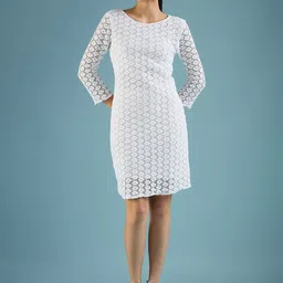 DressBerry Self Design Net Sheath Dress image 3