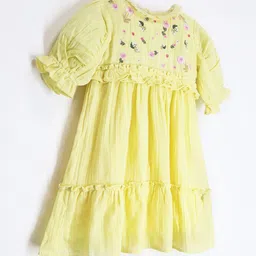 Cherry Crumble Floral Embroidered Fit and flare Dress-picture-40
