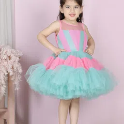 THE LITTLE CELEBS Net Fit & Flare Dress image 5