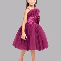 Pink Chick Girls Ruffled Tulle Net Fit & Flare Midi Dress image 3