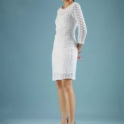 DressBerry Self Design Net Sheath Dress image 5