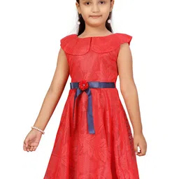 BAESD Girls Self Design Cape Sleeve Belted Net Fit & Flare Dress image 2
