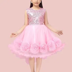 Aarika Girls Pink Embellished Net Dress image 1
