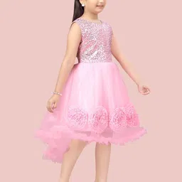 Aarika Girls Pink Embellished Net Dress image 3