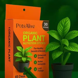 30 Magic Stick Plant Food Stick Fertilizer Green Stick Fertilizer Fertilizer-image-25