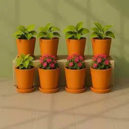 the handicraftian 8 Pcs Red Terracotta 3.5 Inchs Planters-picture-31