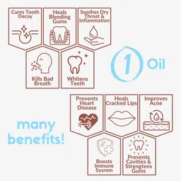 coco crush Sunflower Oil for Body Massage, Cold-Pressed | 100% Natural Liquid image 4