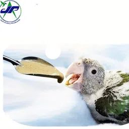 jiya aviary products Bird Spoon Feeder with Feeding Syringe for Birds,Dogs,Cate,Mice,Rat Tube Bird Feeder image 2