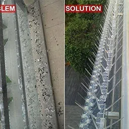 spikezone Bird Spike image 5