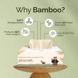 imeco Soft 100% organic 2 ply Bamboo Facial Tissue Box Pack of 3 | 100 pulls image 3