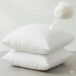 birdwing Polyester Fibre Solid Cushion Pack of 2 image 1