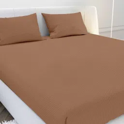 mayfair homes london Brown Solid 210 TC Cotton Fitted Bedsheet with 2 Pillow Covers Satin Stripe 2024 Collection-picture-34
