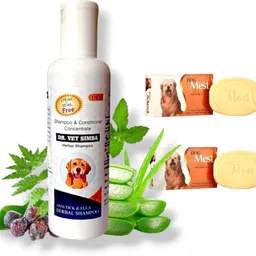 Anti-tick Shampoo 200 ml + Anti Dandruff & Conditioning + Dogmest soap 75gx2 Anti-dandruff, Anti-fungal, Anti-itching, Allergy Relief, Flea and Tick Natural Dog Shampoo-image-12