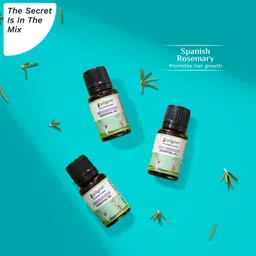 pilgrim Spanish Rosemary Essential Oil for Healthy & Strong Hair image 2